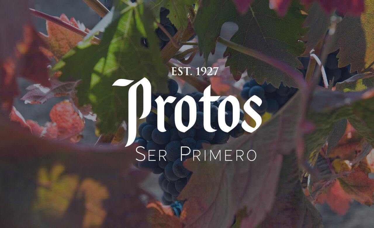 IMAGEN BLOG - PROMO MONTAL PROTOS