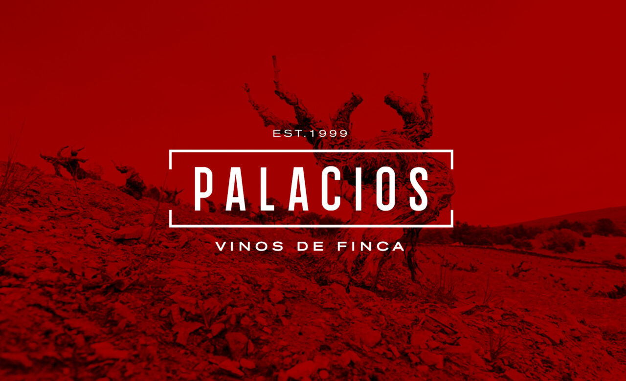 IMAGEN BLOG - PROMO MONTAL palacios